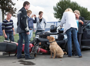 Ein Unfall zwischen Motorrad und Auto