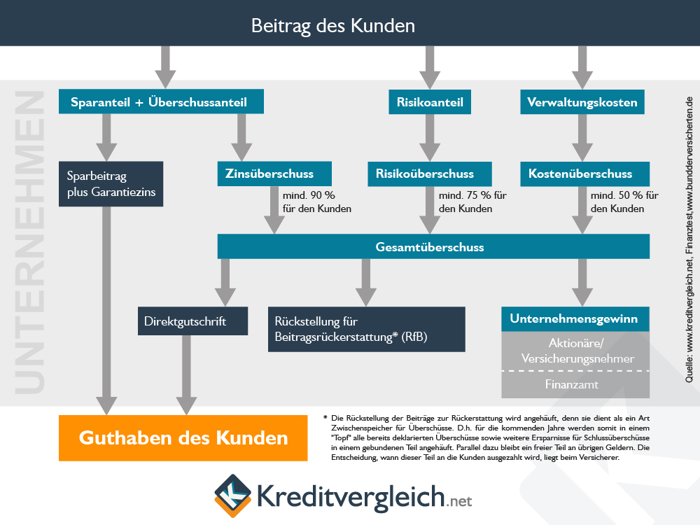 Infografik zur Verwendung der Lebensversicherungsbeiträge